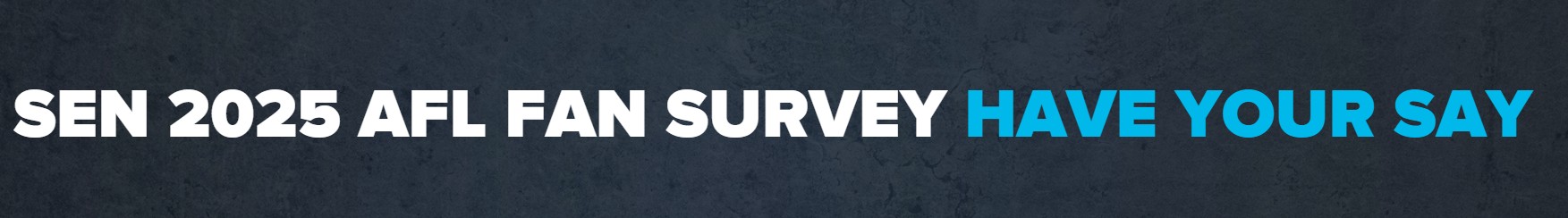 2025 AFL Fan Survey
