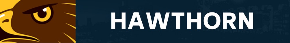 Hawthorn club banner