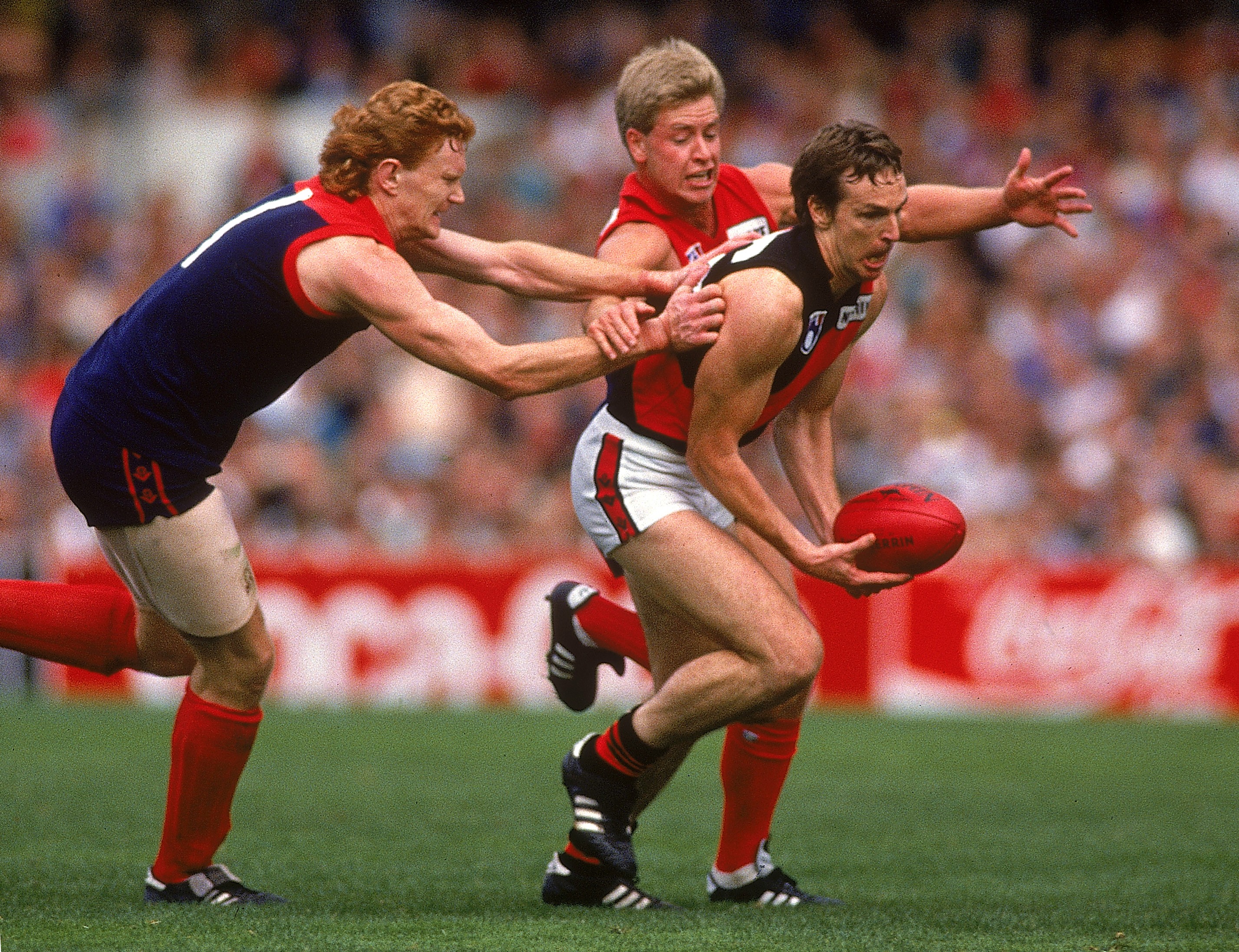Neale Daniher playing