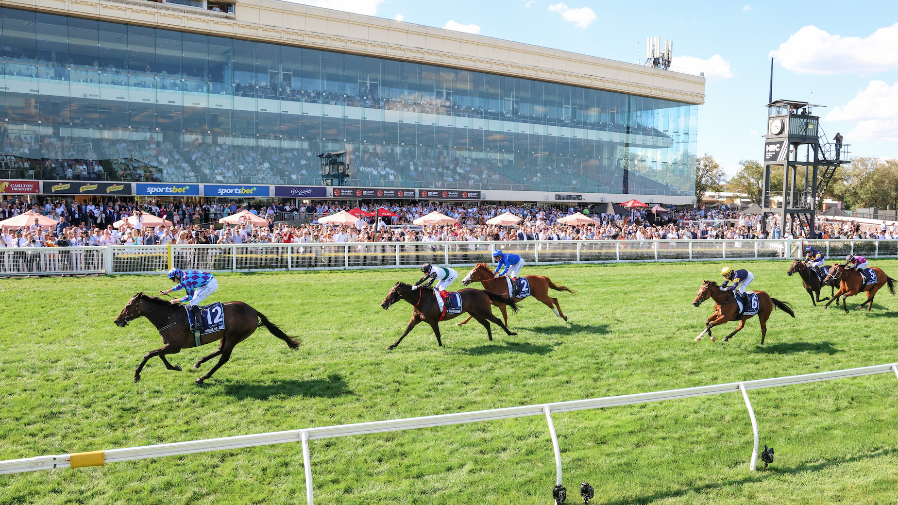 AI Analysis: Predicted winners, value & roughies at Caulfield — SEN